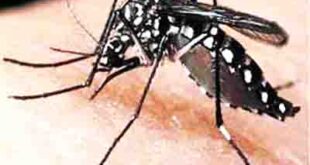 कोरोना संक्रमण के बाद अब सता रहा डेंगू का डंक, देहात के मुकाबले शहरी क्षेत्रों में बुखार का खतरा अधिक …