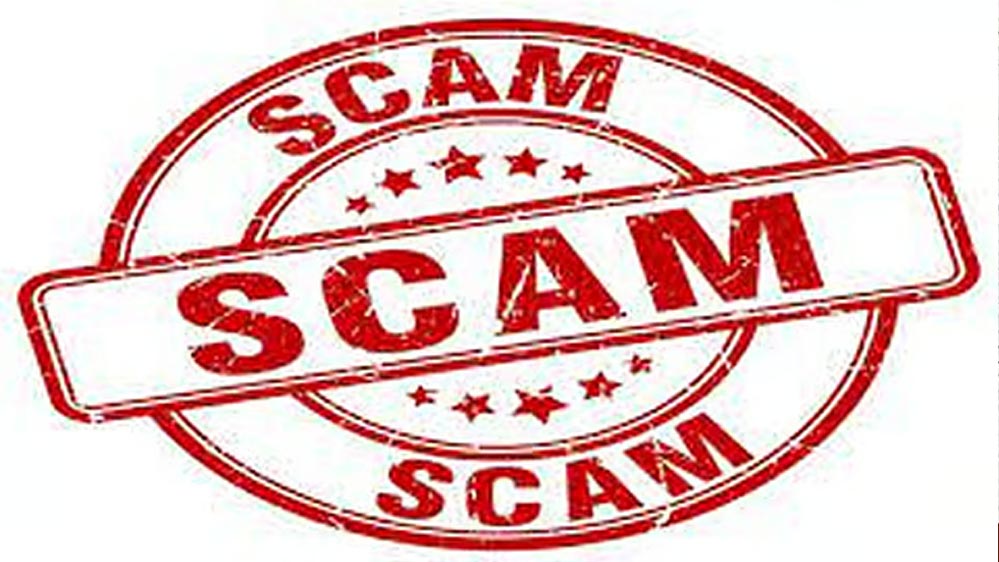 फर्जी मार्कशीट से सरकारी नौकरी पाने का खेल उजागर, MP STF ने किया शिकंजा कसने का काम 2 14A 126